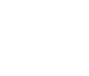 ICF Estonia